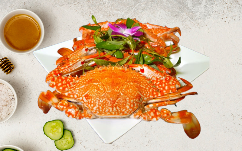 havana nha trang hotel ghe hap