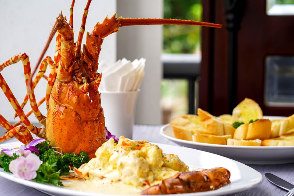 havana nha trang hotel tom hum sot pho mai