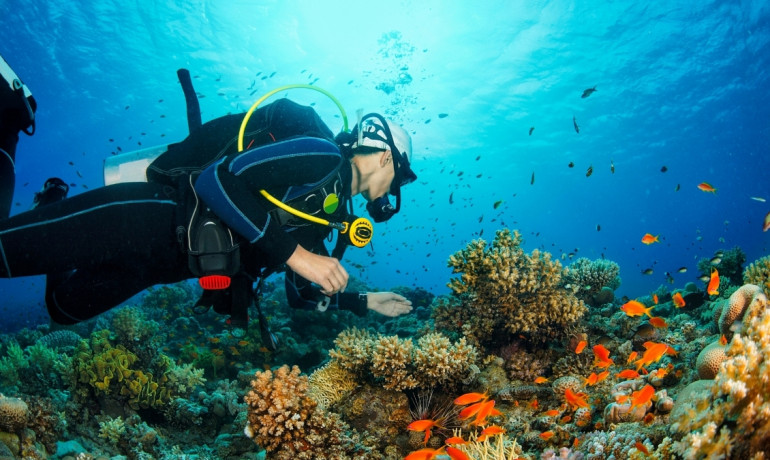 Trải nghiệm Nha Trang trọn vẹn từ Havana Nha Trang Hotel – Gợi ý lịch trình 4 ngày 3 đêm